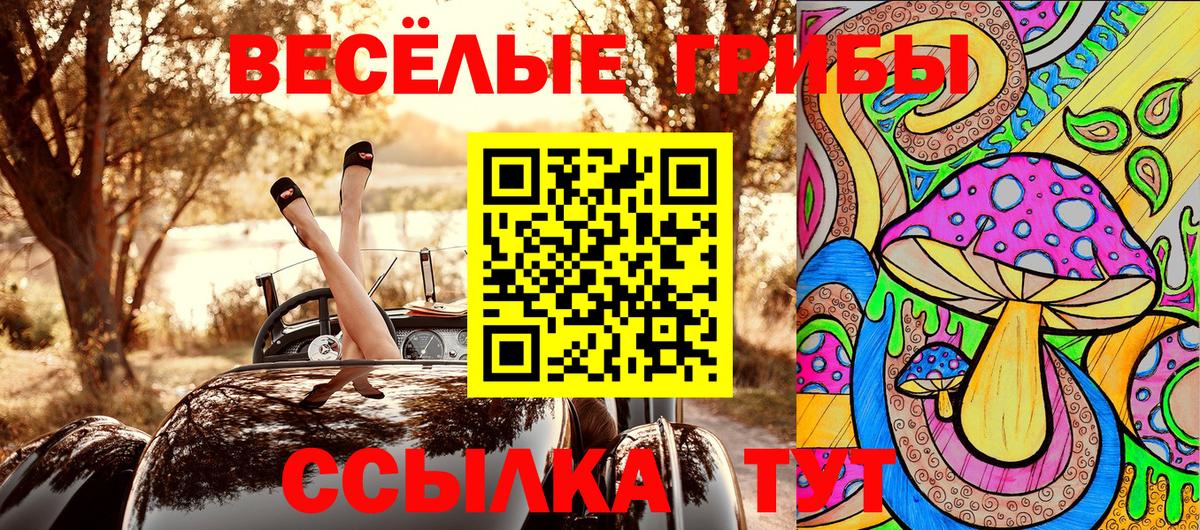 Псилоцибиновые грибы прущие грибы  Вход с VPN  Галлюциногенные грибы Psilocybe  Зеленодольск 