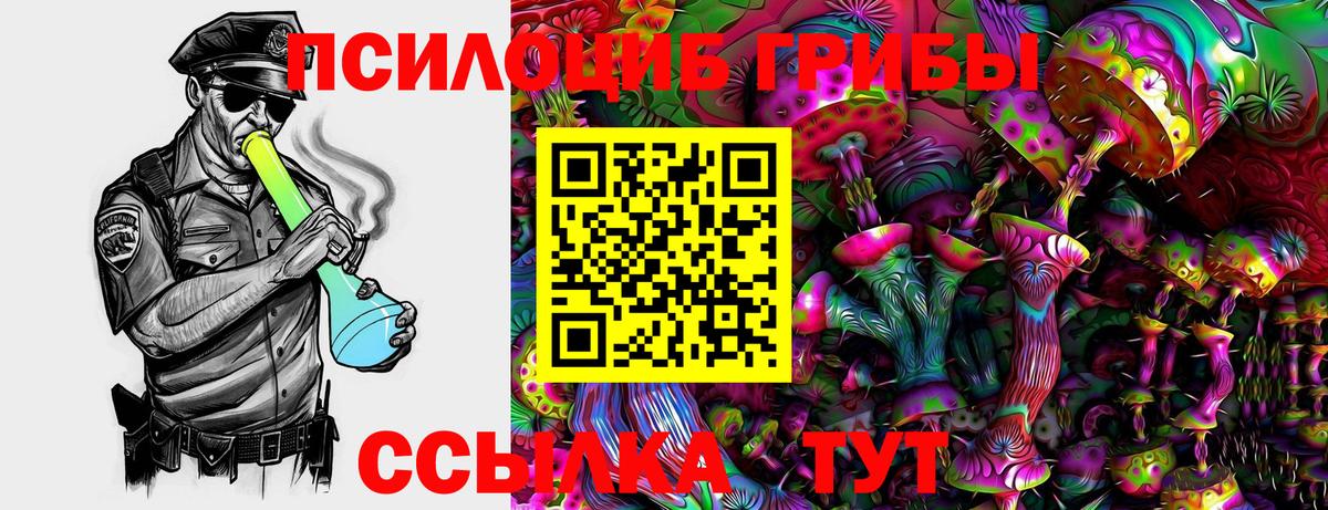 Галлюциногенные грибы прущие грибы Зеленодольск